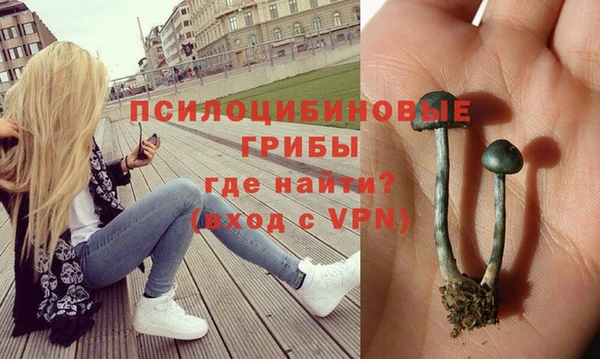 а пвп мука Бронницы